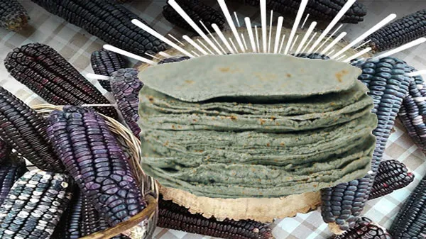 maiz-azul-tortillas